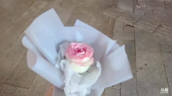 我在斗鱼看小鱼小鱼吃虾米直播户外