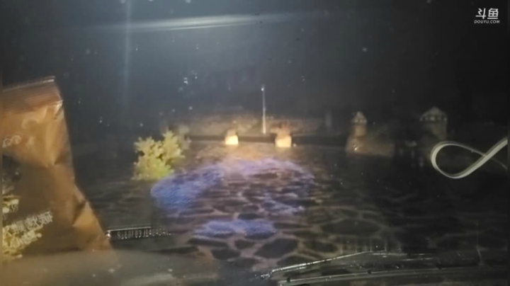 纪实直播149天，出发云南第5天 2020-09-08 01点场