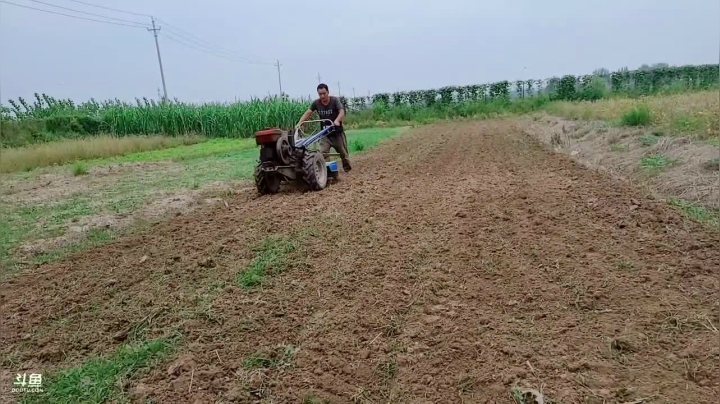 带你领略乡野四季变换 2020-09-09 14点场