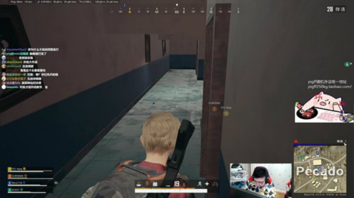 我在斗鱼看pigff直播绝地求生