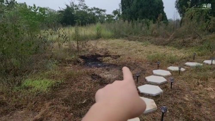 点赞