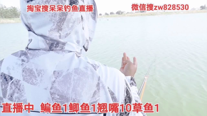 直播中野钓7.2米钓小鱼 2020-09-08 12点场