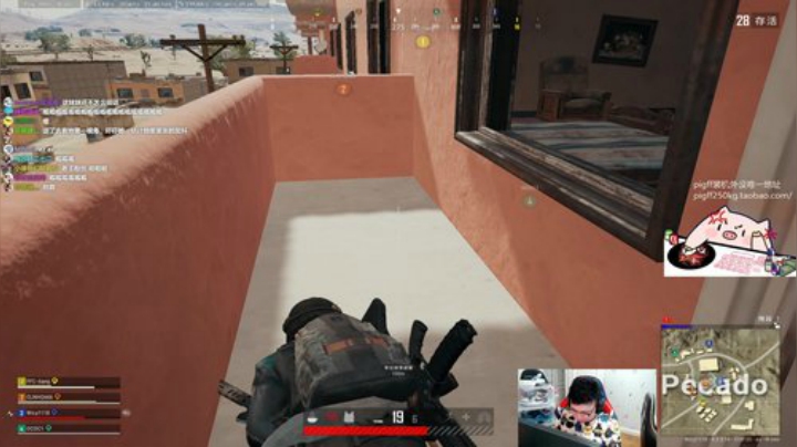 我在斗鱼看pigff直播绝地求生