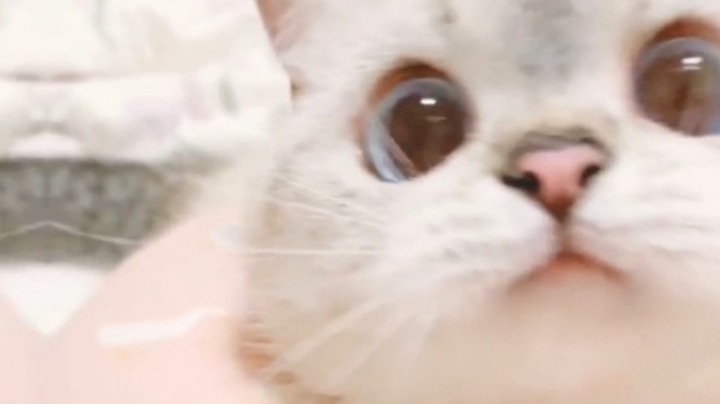 休闲励志