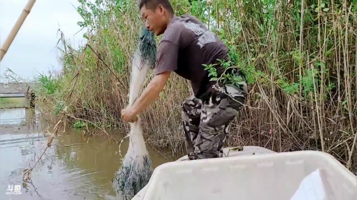 带你领略乡野四季变换 2020-09-09 10点场