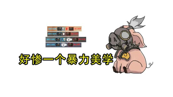【小金猪】可怜的暴力美学