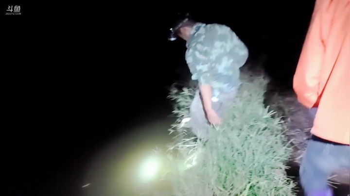 带你领略乡野四季变换 2020-09-10 20点场