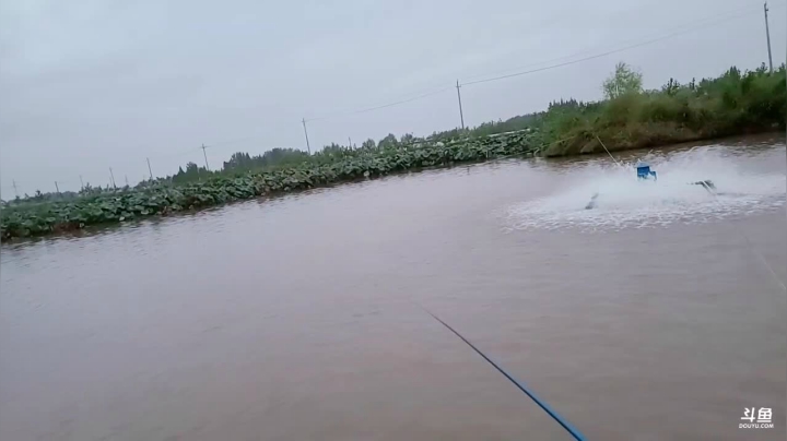 带你领略乡野四季变换 2020-09-10 18点场