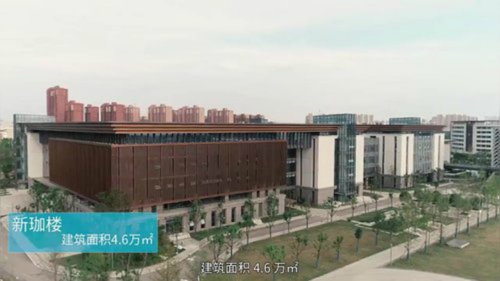 2020黄鹤杯
