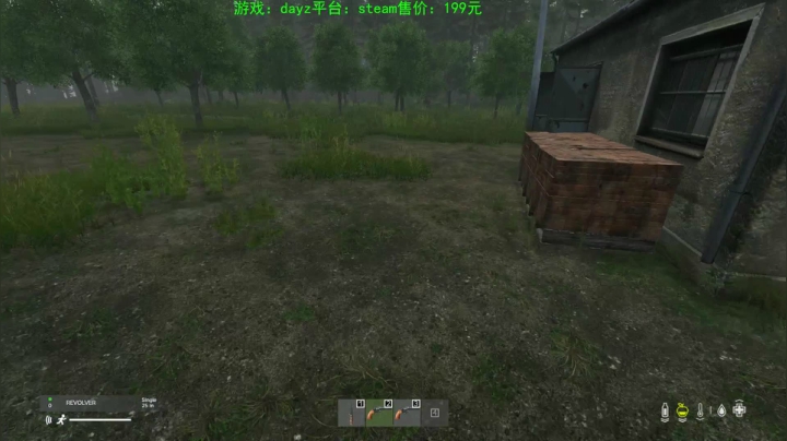 dayz (hardcore极限生存） 2020-09-09 15点场