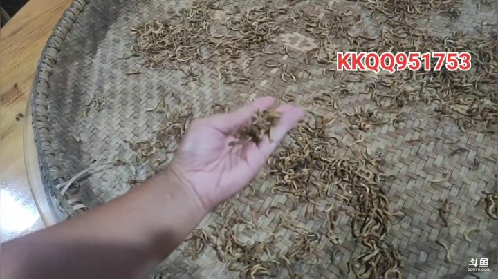 好久没来祸害喜哥了 2020-09-11 18点场