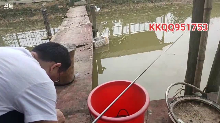 上山找苁菌 2020-09-11 12点场