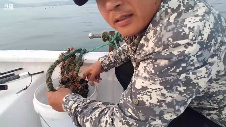 风里雨里，海钓走起！ 2020-09-11 06点场