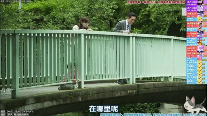 我在斗鱼看懒猫是只喵直播一起看