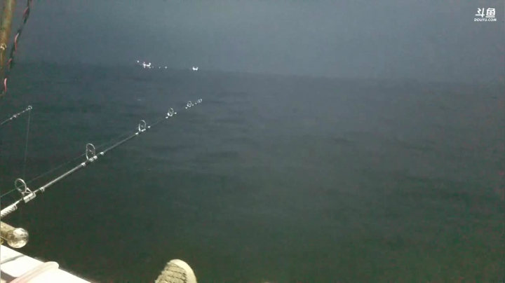 风里雨里，海钓走起！ 2020-09-11 04点场