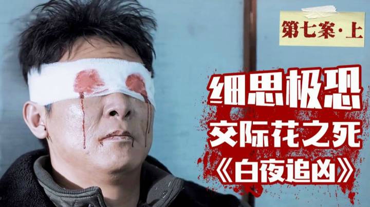 《白夜追凶》最终案！神秘组织大开杀戒！是谁惨遭毒手？深度解析第七案（上）