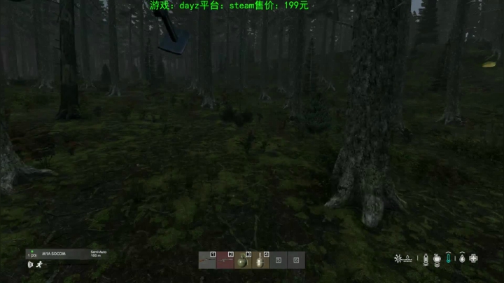 dayz (hardcore极限生存） 2020-09-11 15点场