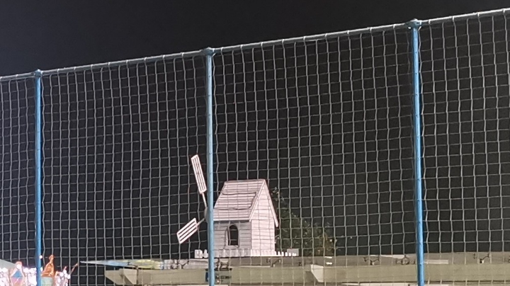 长的