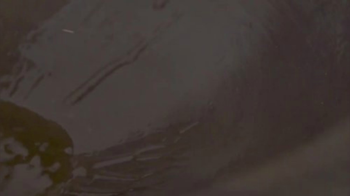 【美食】YESHI小哥的精彩时刻 20200913 08点场