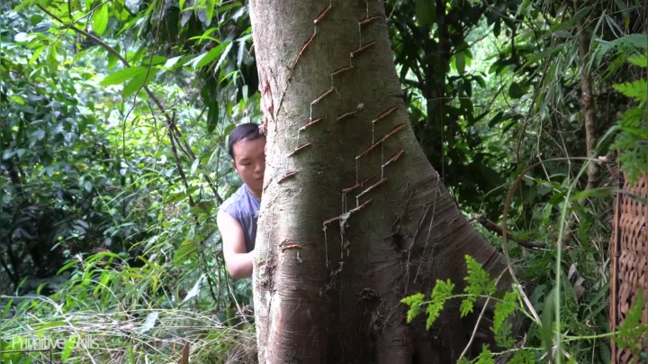 真人我的世界-空手发展-单人炼铁 -E84-制作圆木风箱，风力