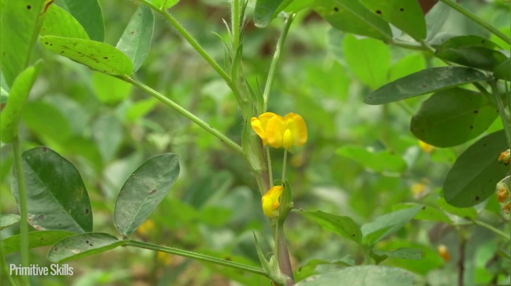 真人我的世界-空手发展-单人炼铁-E99两年感情的房子最终..