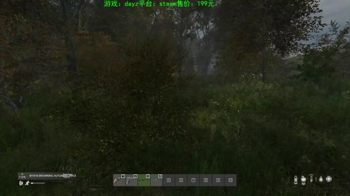 dayz (hardcore极限生存） 2020-09-13 19点场