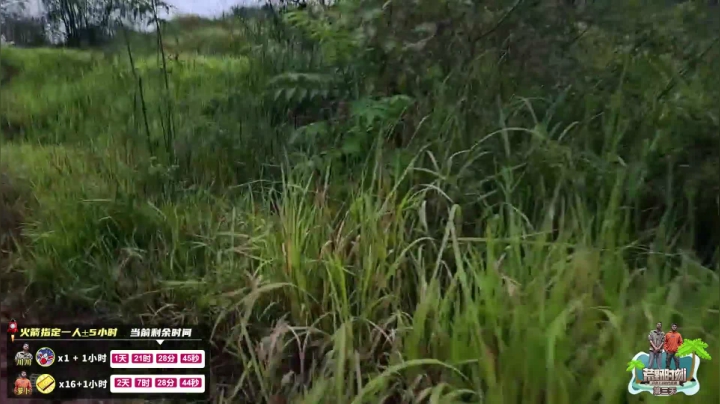 《荒野时刻》第三天 2020-09-14 18点场
