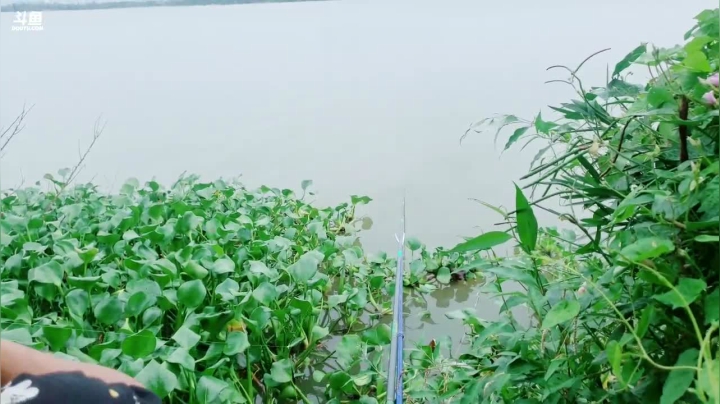 阿郎小王加油努力 2020-09-14 16点场