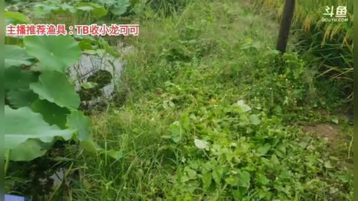 【户外】超哥户外打野的精彩时刻 20200914 08点场