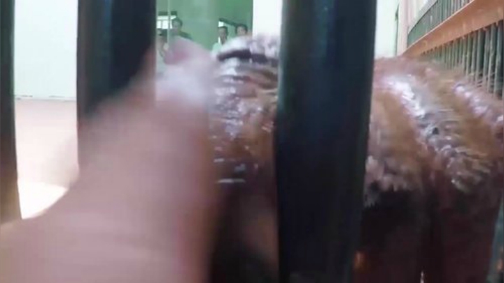 【美食】YESHI小哥的精彩时刻 20200914 09点场