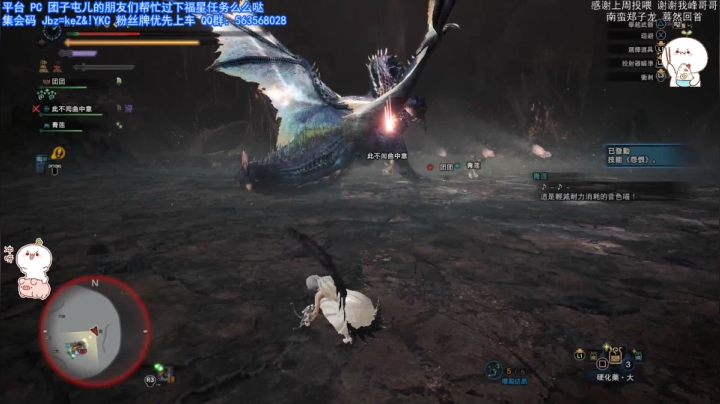 团子 历战煌黑龙 黑光之神 2020-09-14 23点场