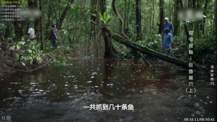 【科普】酷炫你你你的精彩时刻 20200915 15点场