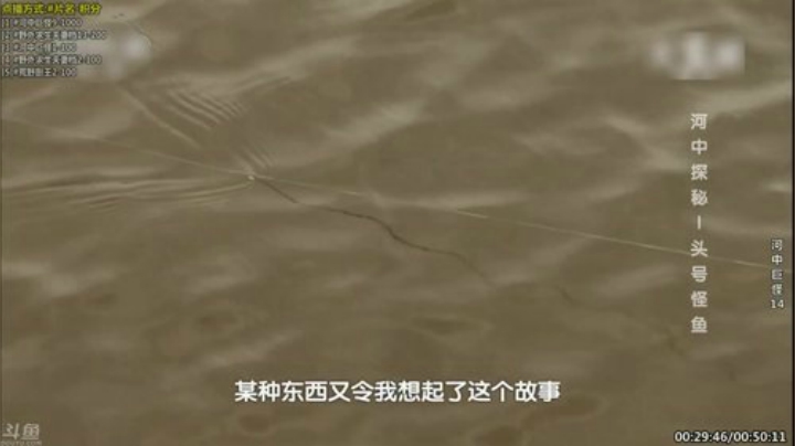 【科普】酷炫你你你的精彩时刻 20200915 13点场