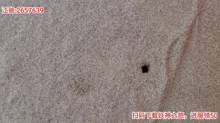 上岛前的准备～ 2020-09-15 16点场