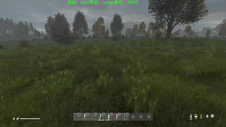 dayz (hardcore极限生存） 2020-09-15 17点场