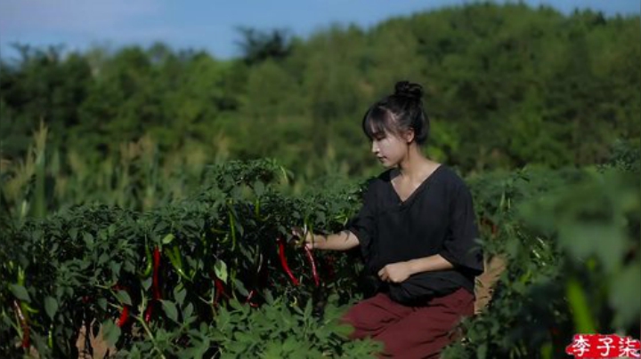 【美食】李子柒liziqi的精彩时刻 20200916 06点场