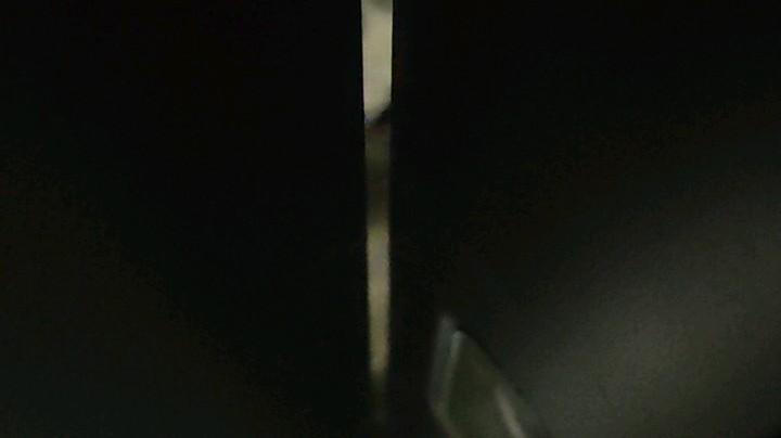 一开门就往屋里跑，围着你转，在你脚底下打滚。