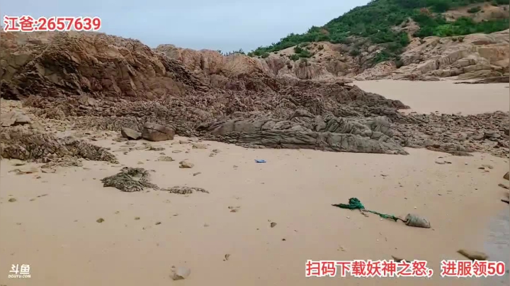 《荒岛奇遇记》Day1 2020-09-16 13点场