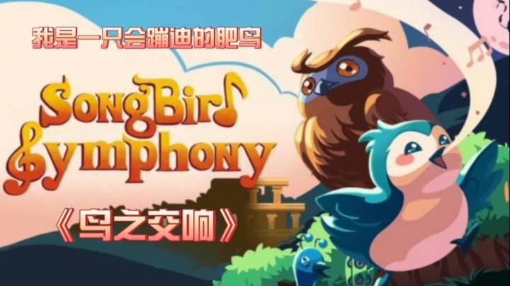 我是一只会蹦迪的肥鸟《鸟之交响》