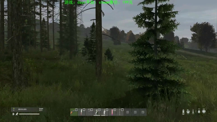 dayz (hardcore极限生存） 2020-09-15 23点场
