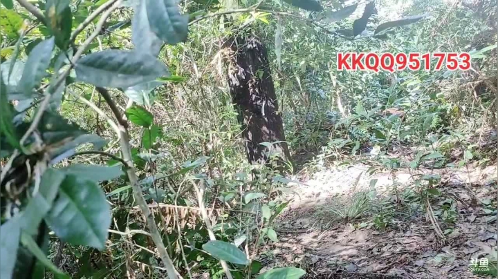 天气好寻找土峰 2020-09-18 12点场