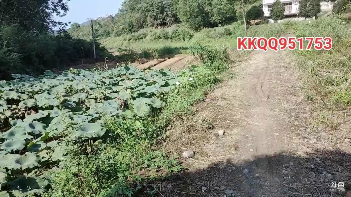 天气好寻找土峰 2020-09-18 14点场