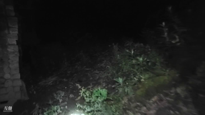 [纪实直播]云南第12天，寻找水源中 2020-09-17 23点场