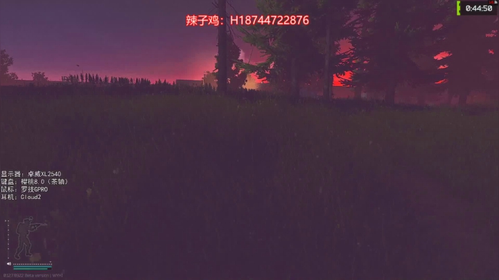 【阿聪】PUBG，塔科夫 2020-09-19 01点场