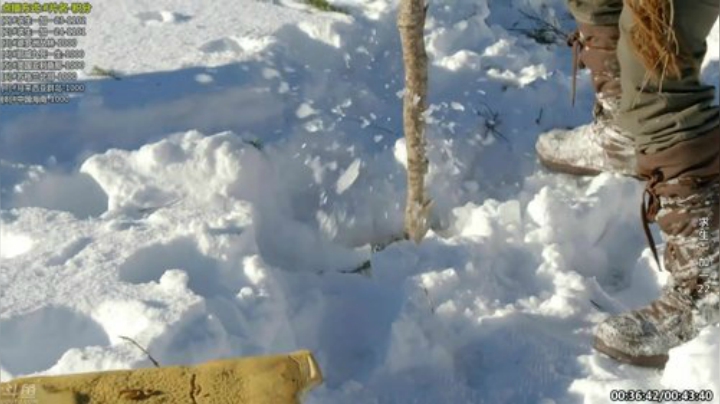 【科普】酷炫你你你的精彩时刻 20200919 15点场