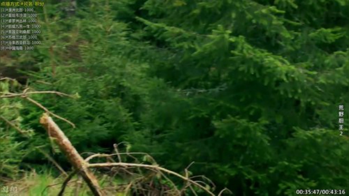 【科普】酷炫你你你的精彩时刻 20200919 08点场