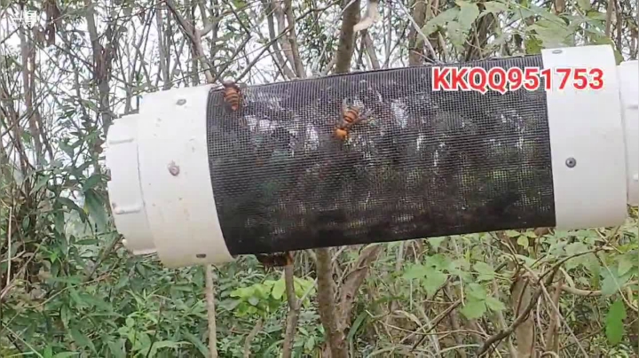 今天继续找峰 2020-09-19 12点场