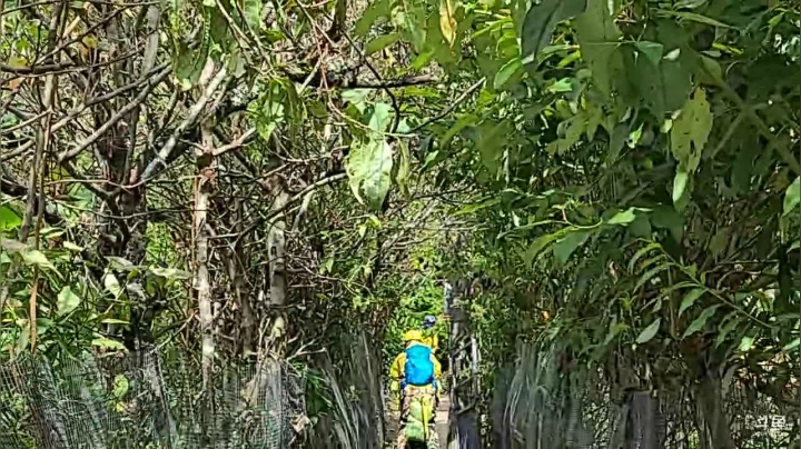 【纪实直播】云南怒江丙中洛行第14天 2020-09-20 15点场