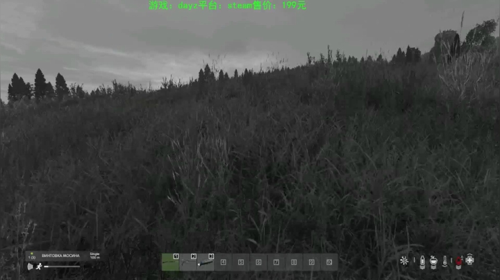 dayz (hardcore极限生存） 2020-09-18 23点场