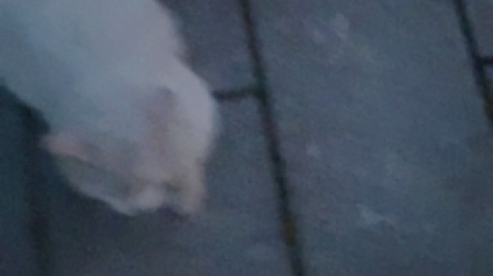 当日子完了，我站在你的面前， 你将看到我的疤痕，知道我曾经受